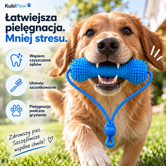 KubiPaw™ – Gryzak do czyszczenia zębów psa